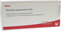 GLANDULAE SUPRARENALES GL D 4 Ampullen