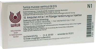 TUNICA mucosa ventriculi GL D 15 Ampullen