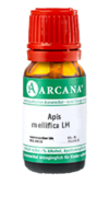 APIS MELLIFICA LM 4 Dilution