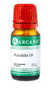 PULSATILLA LM 10 Dilution