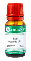 ACER negundo LM 3 Dilution