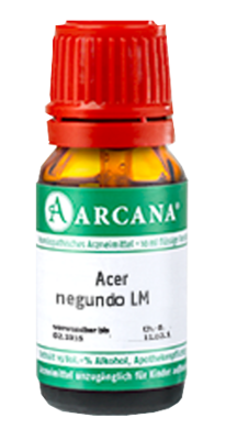 ACER negundo LM 3 Dilution