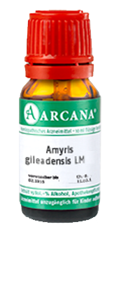 AMYRIS gileadensis LM 10 Dilution